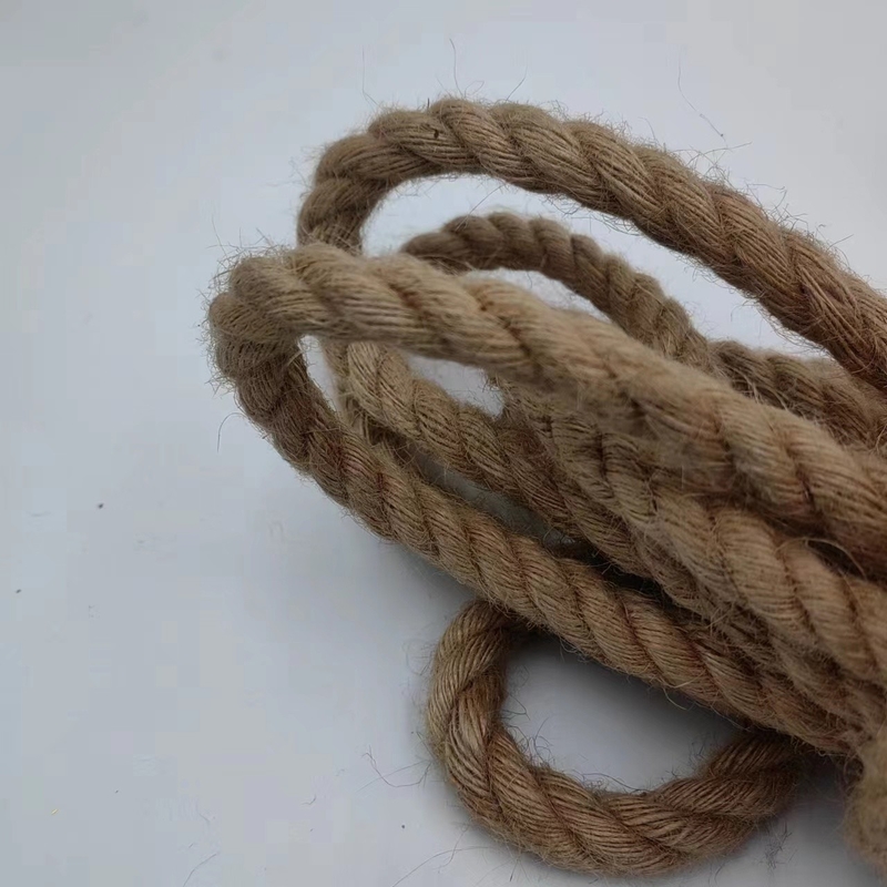 Δαχτυλίδι γιούτης 12 mm βιώσιμο και προσαρμόσιμο για τη διασυνοριακή αγορά