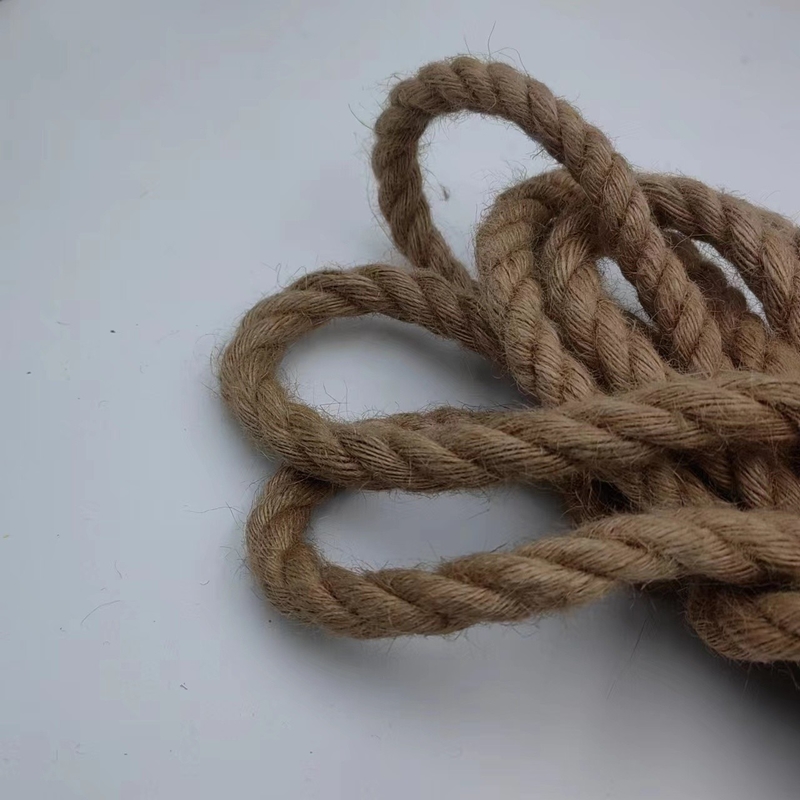 Δαχτυλίδι γιούτης 12 mm βιώσιμο και προσαρμόσιμο για τη διασυνοριακή αγορά